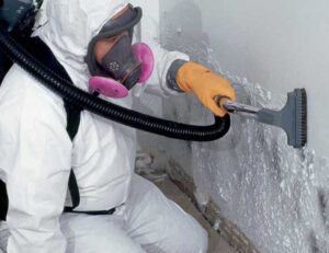 Can You Do Mold Removal in East Texas by Yourself?